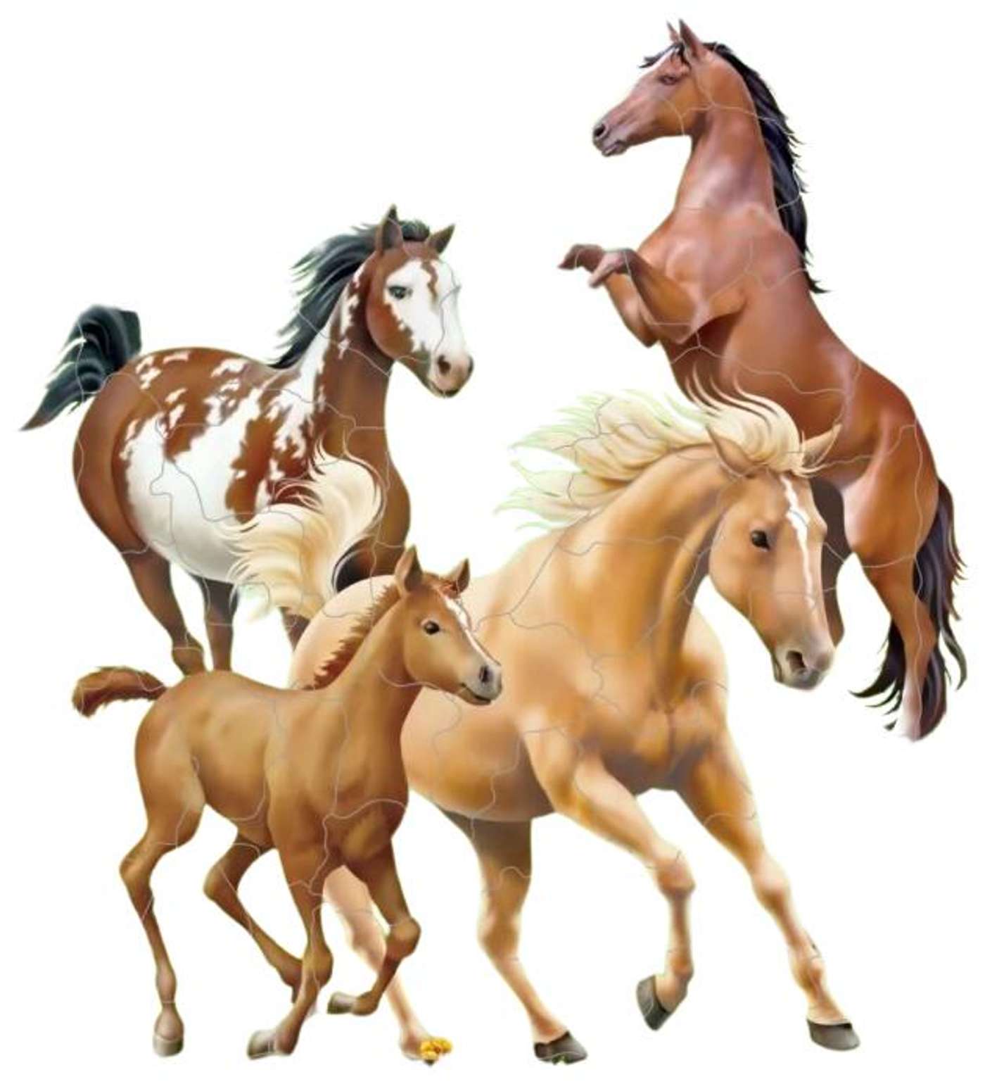 Пазл Ларсена Horses Maxi 65 возвращается