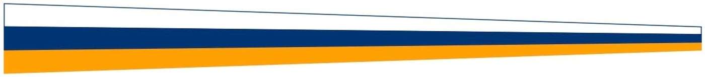 Вымпел Флагмор Шведский Uusimaa 40х400 №8, ткань