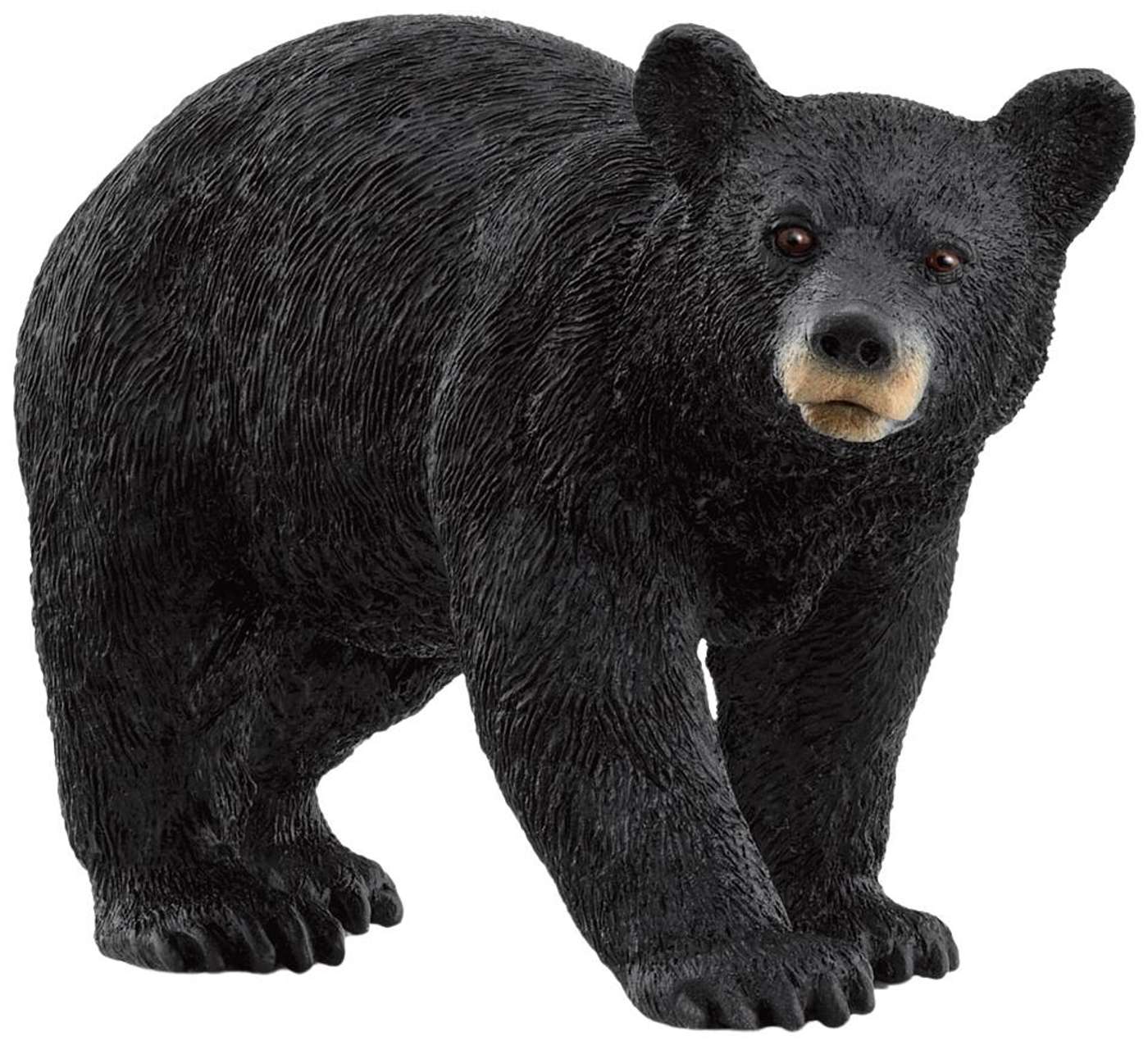 Американский черный медведь schleich®