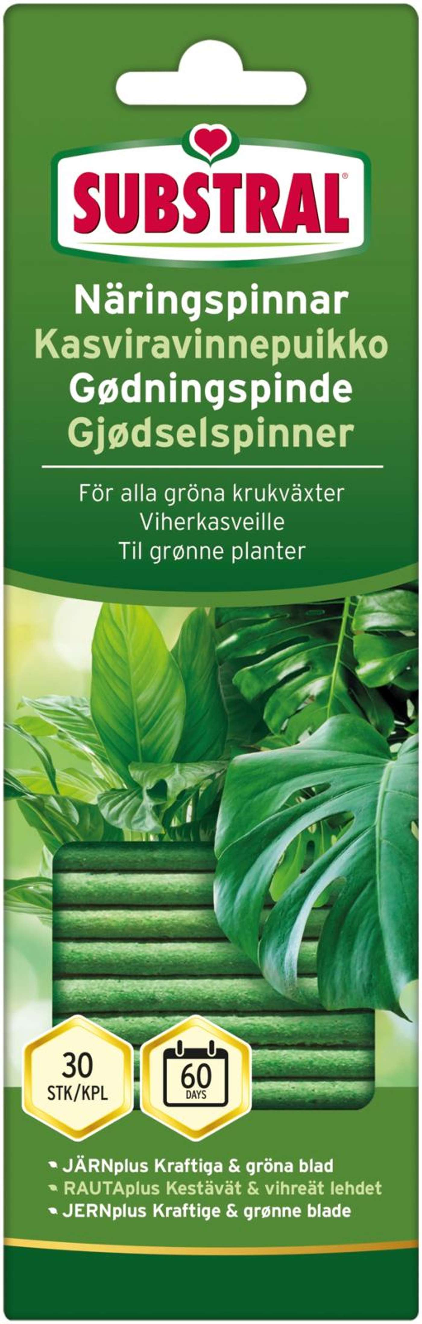 Substral Plant питательные палочки для зеленых растений 30 шт.