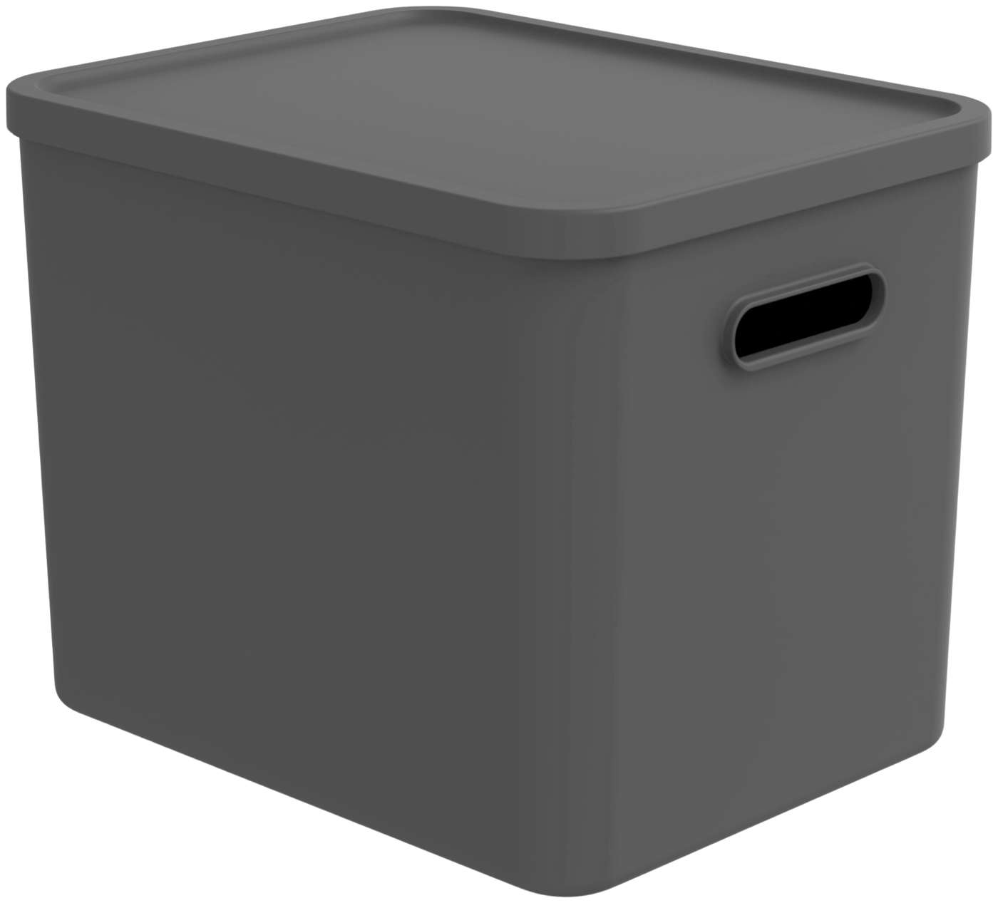 Ящик для хранения Rotho Albula Multibox 27 л C4 серый (цвет Антрацит)