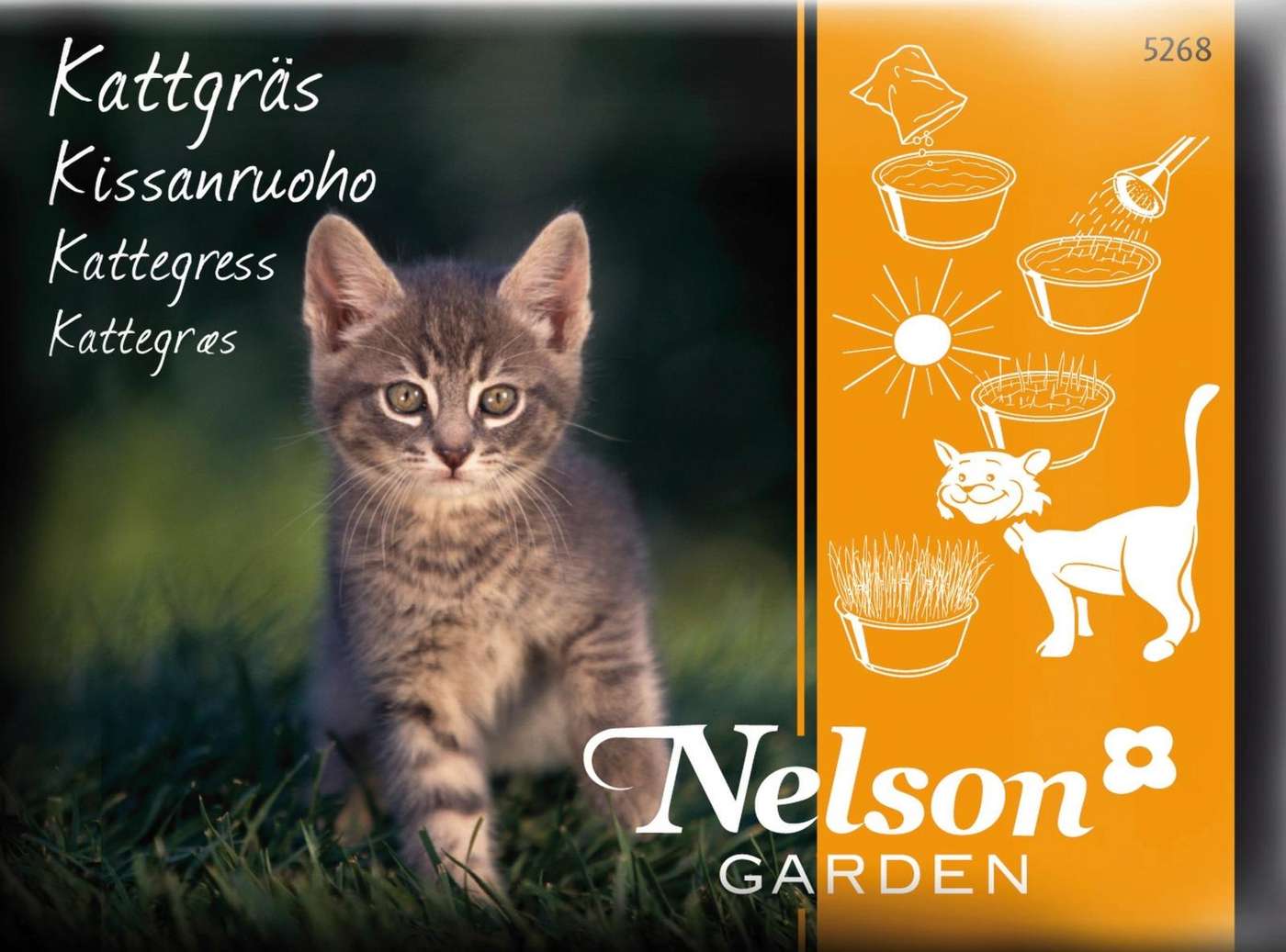Семена кошачьей мяты Nelson Garden