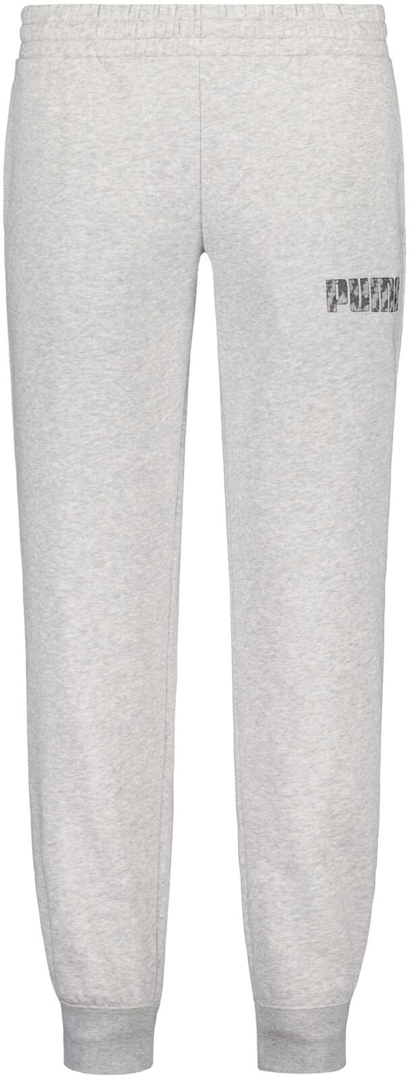 Женские спортивные штаны Puma Puma Pants 691914 04 (размер XS, цвет Светло-серый вереск)
