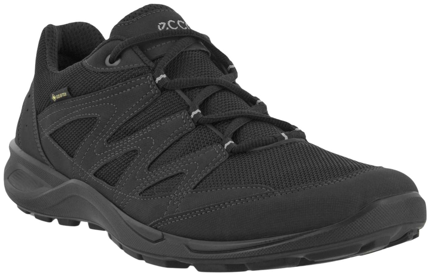 Мужская уличная обувь Ecco Terracruise LT GTX (размер 40, цвет Черный / черный)