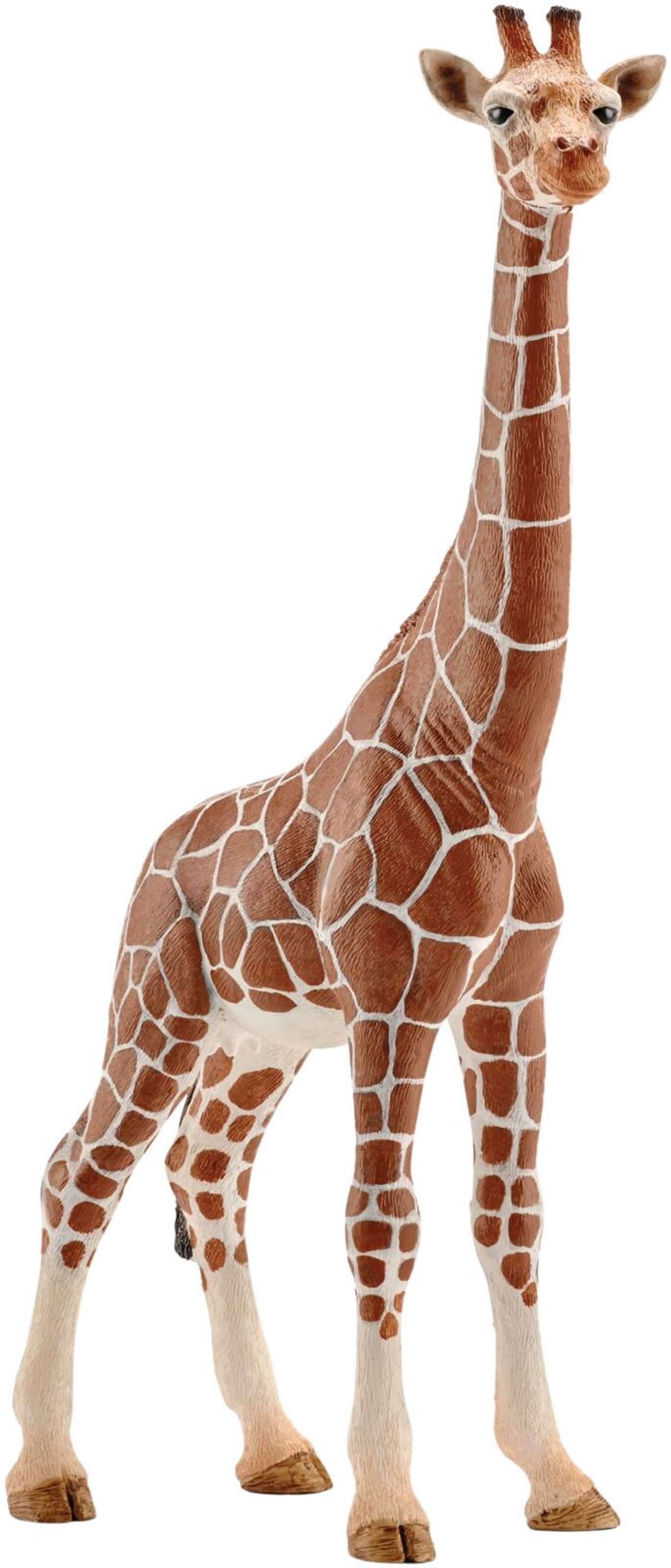 schleich® Жираф Самка