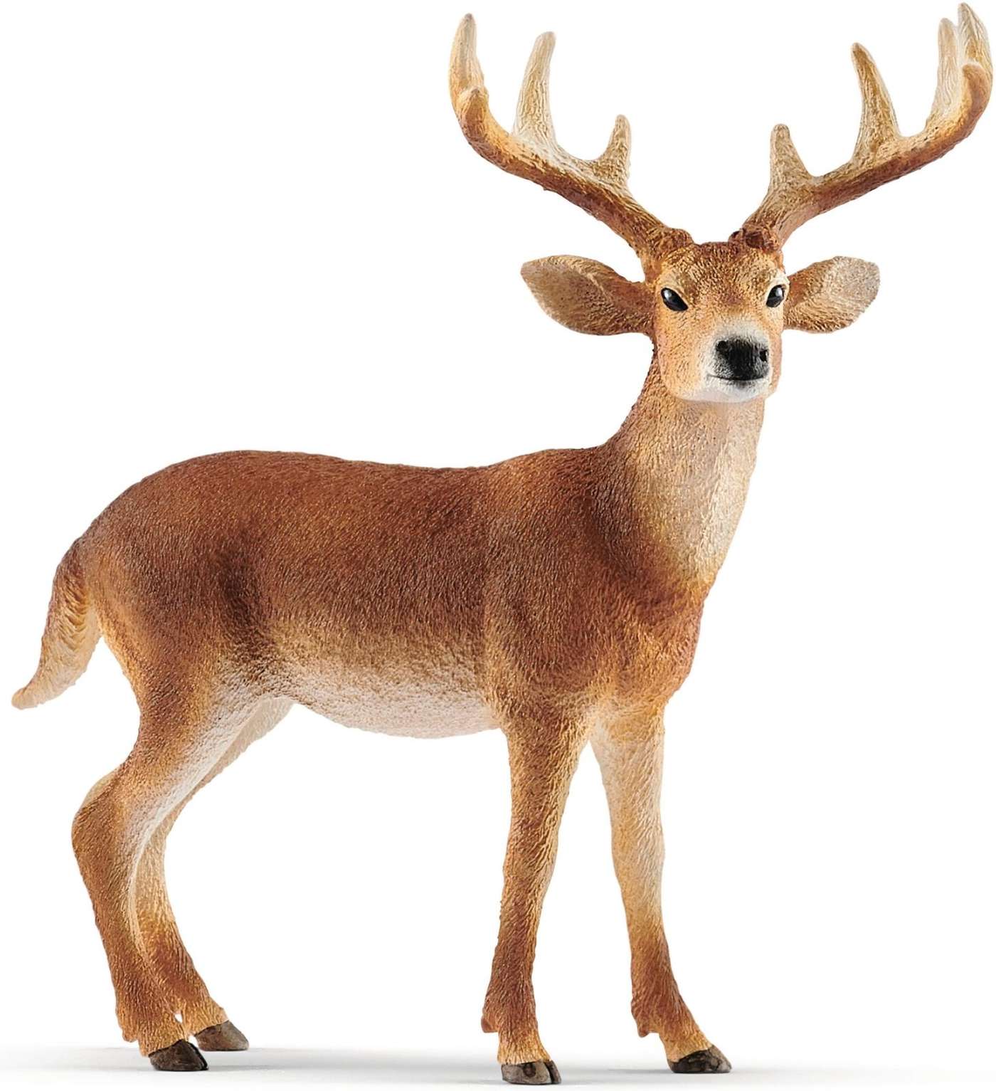schleich® Белохвостый олень