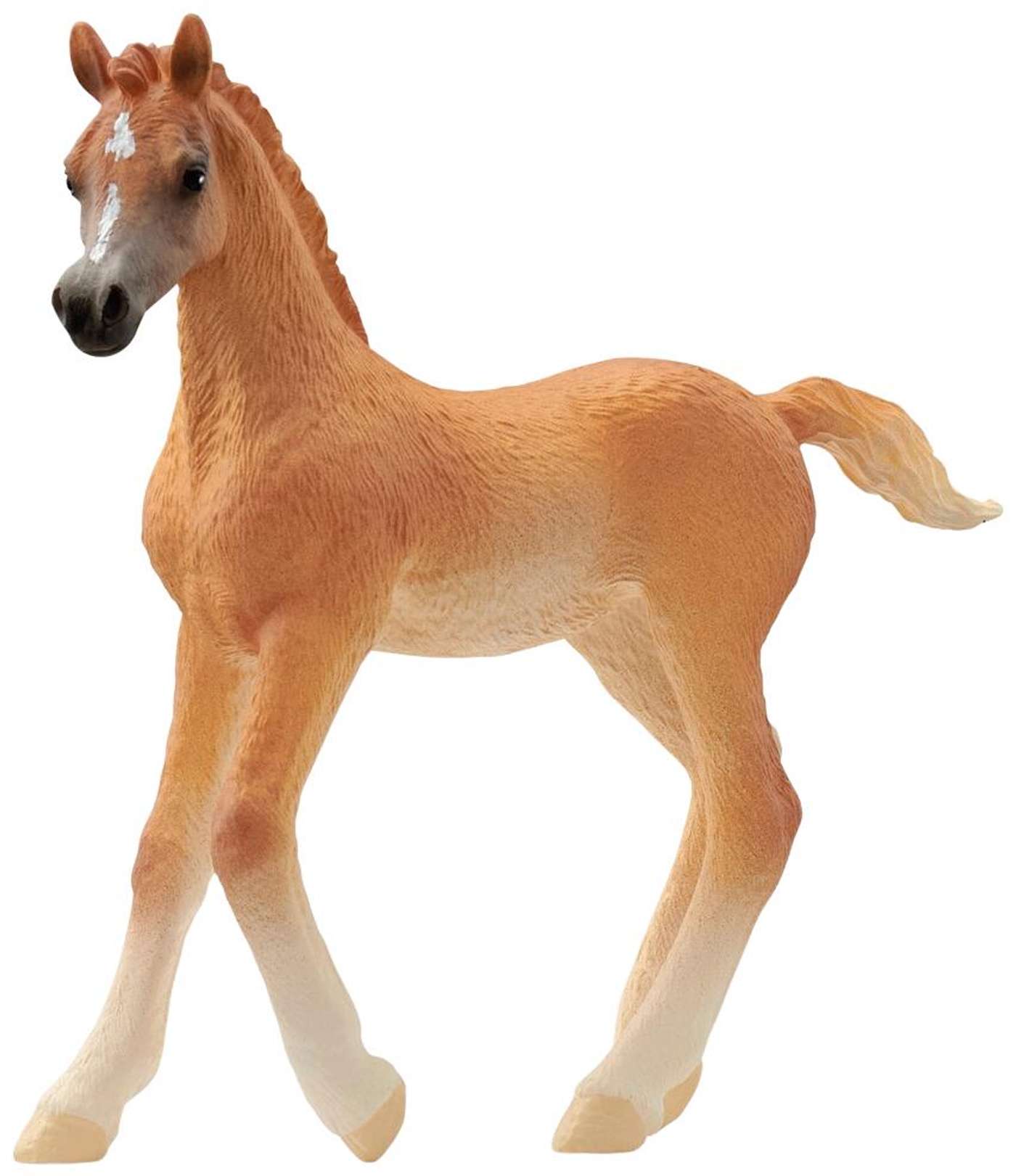 жеребенок арабской лошади schleich®