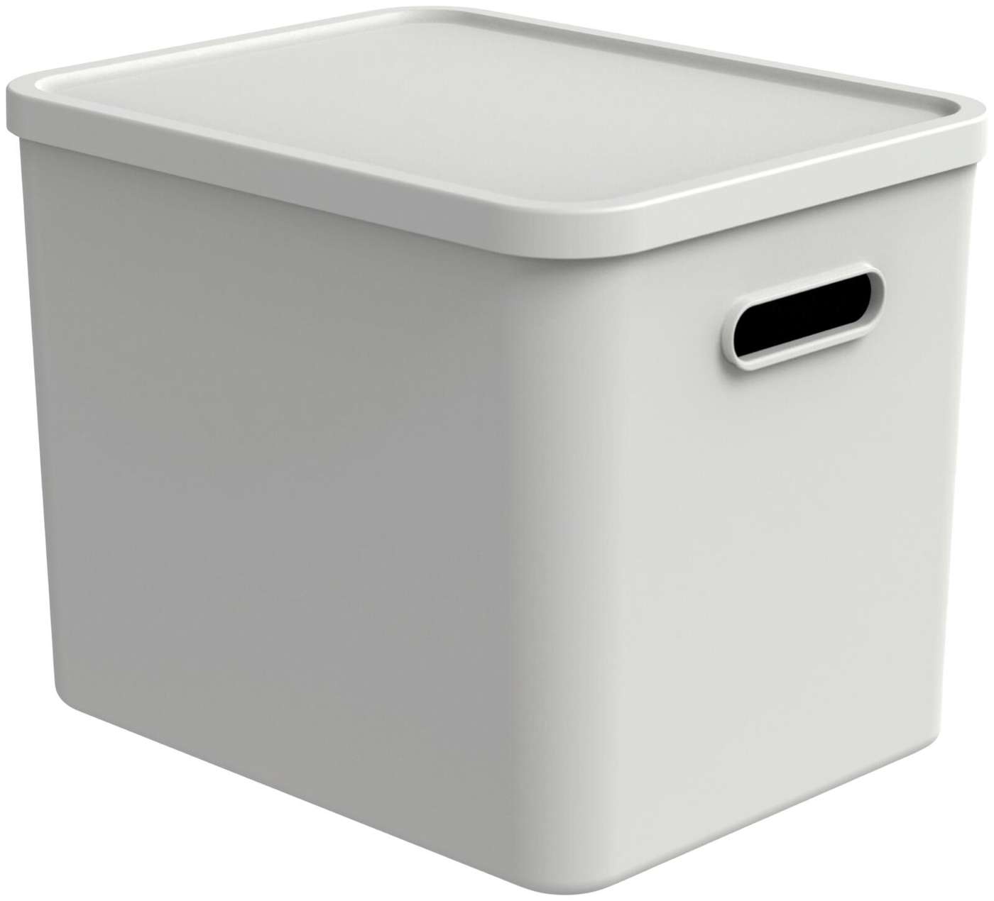 Ящик для хранения Rotho Albula Multibox 27 л C4 белый (цвет Омела белая)