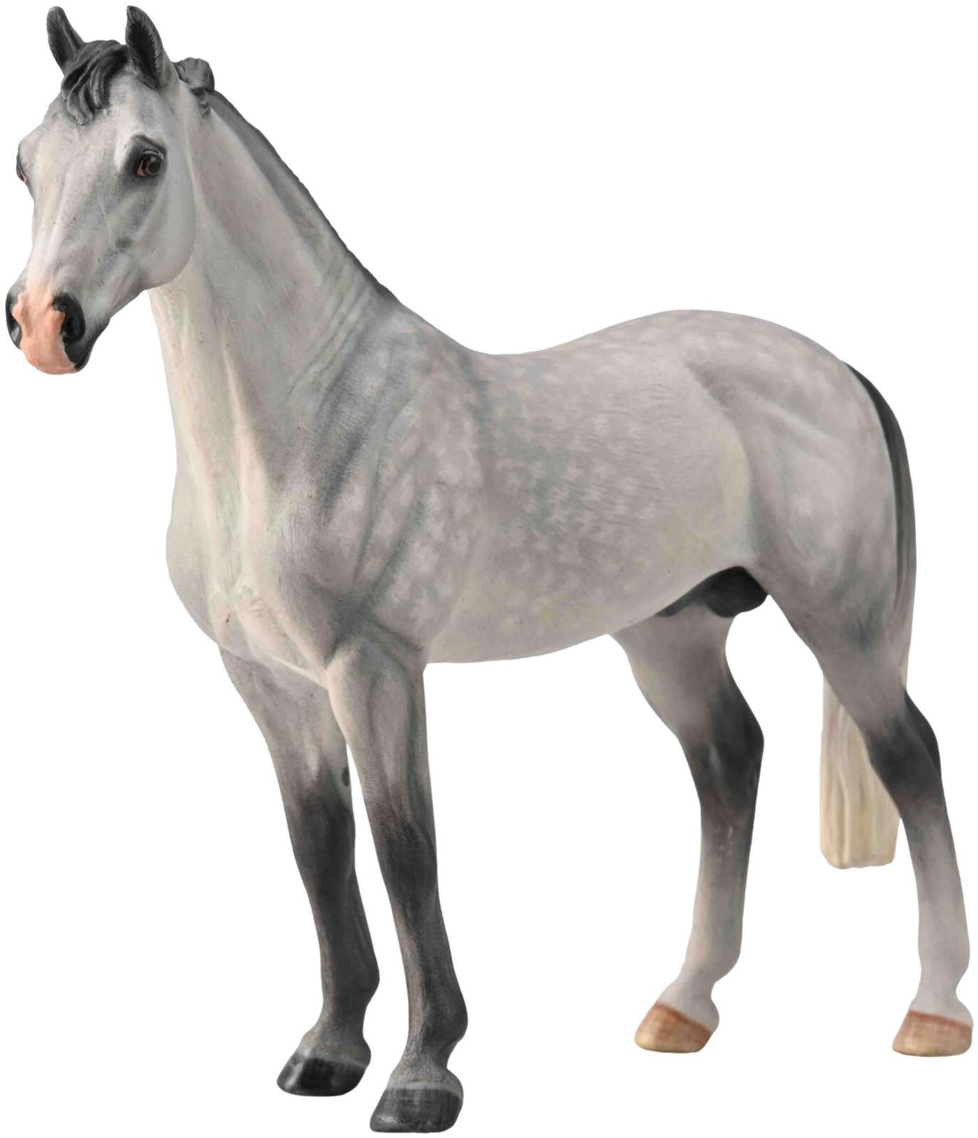 Игрушка CollectA Ганноверский жеребец Кимо XL