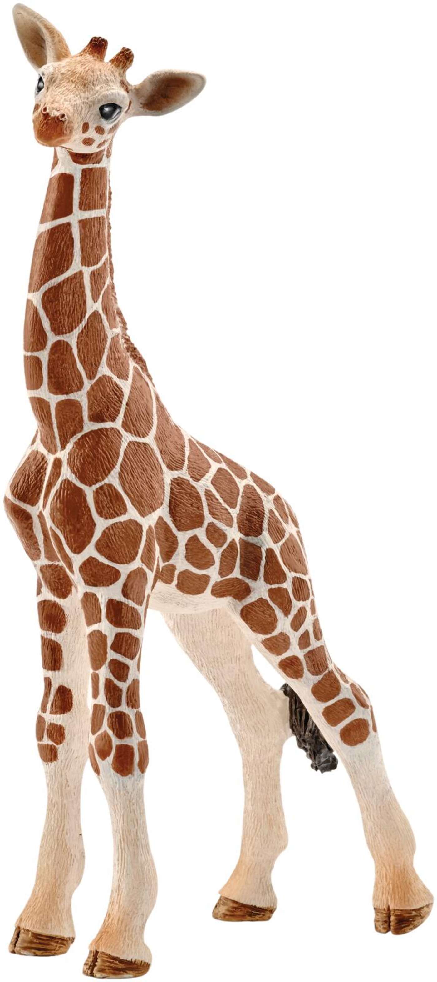 schleich® Теленок жирафа