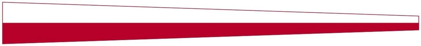 Вымпел Flagmore Häme 40х400 №8, ткань
