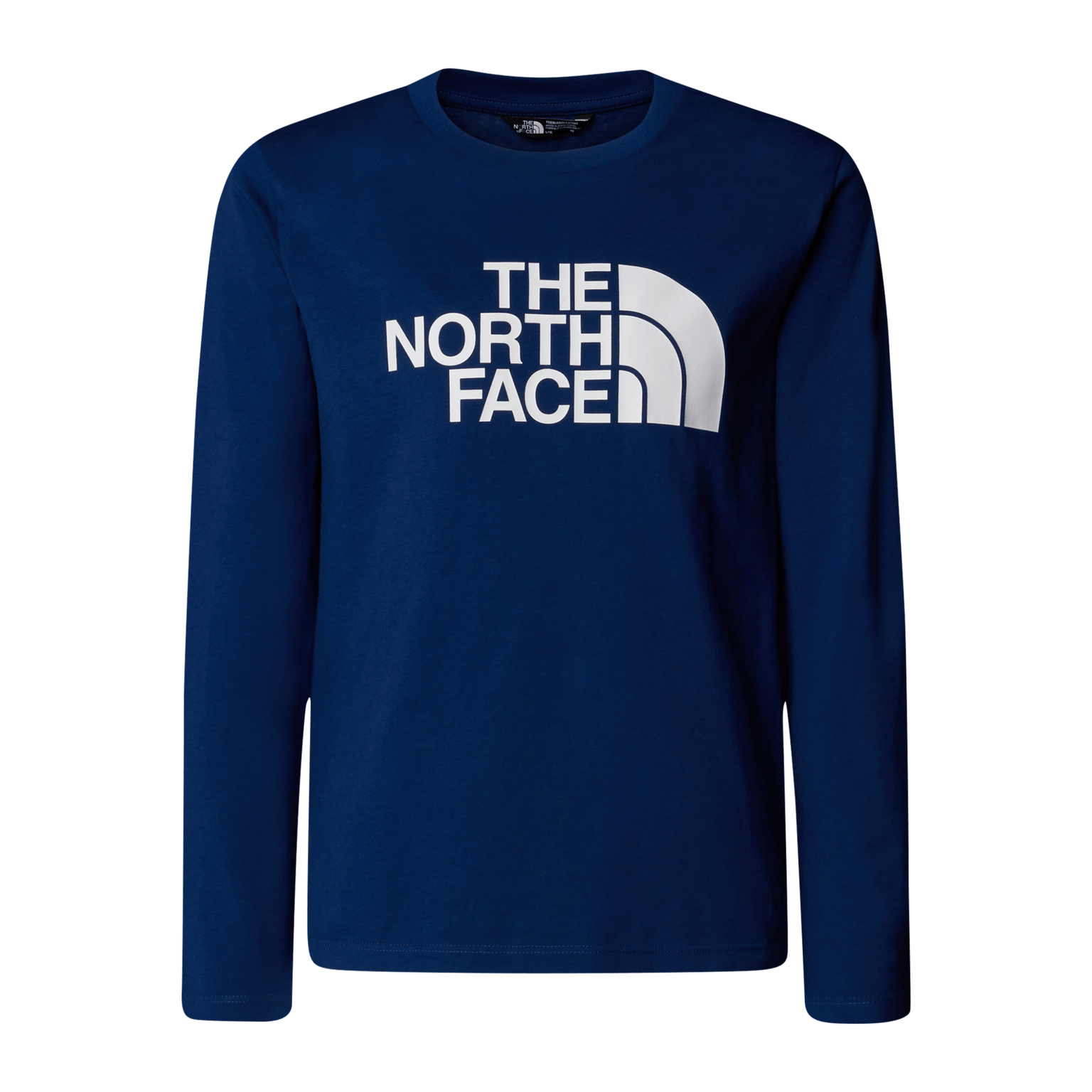 Футболка The North Face Teen Easy Ls