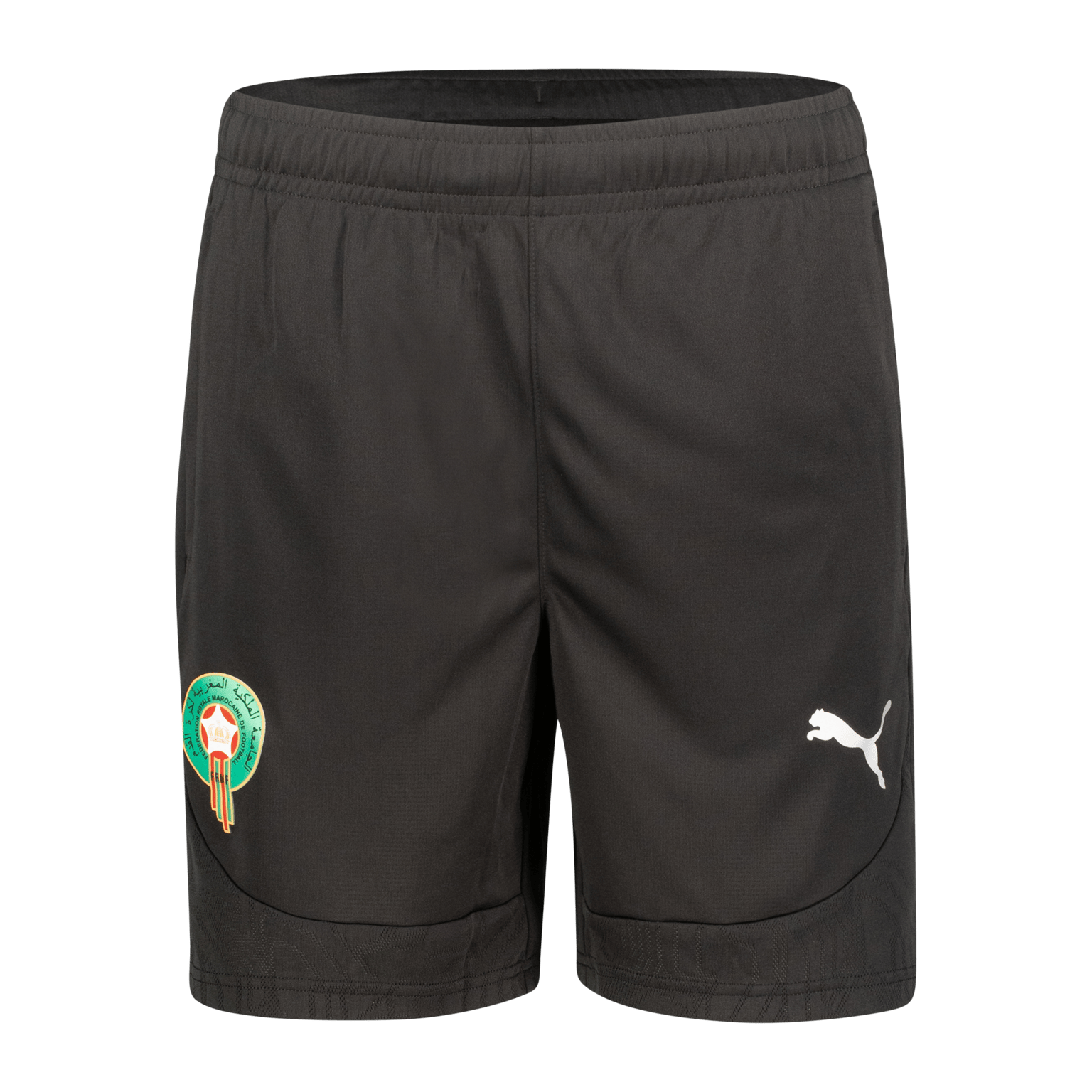 Puma FRMF teamФИНАЛ, мужские тренировочные шорты