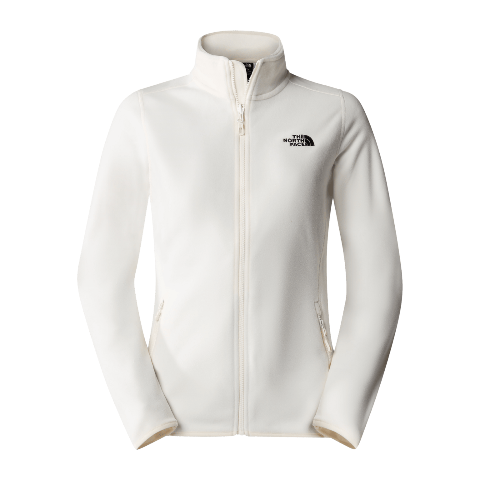 Ледник North Face 100 Fz