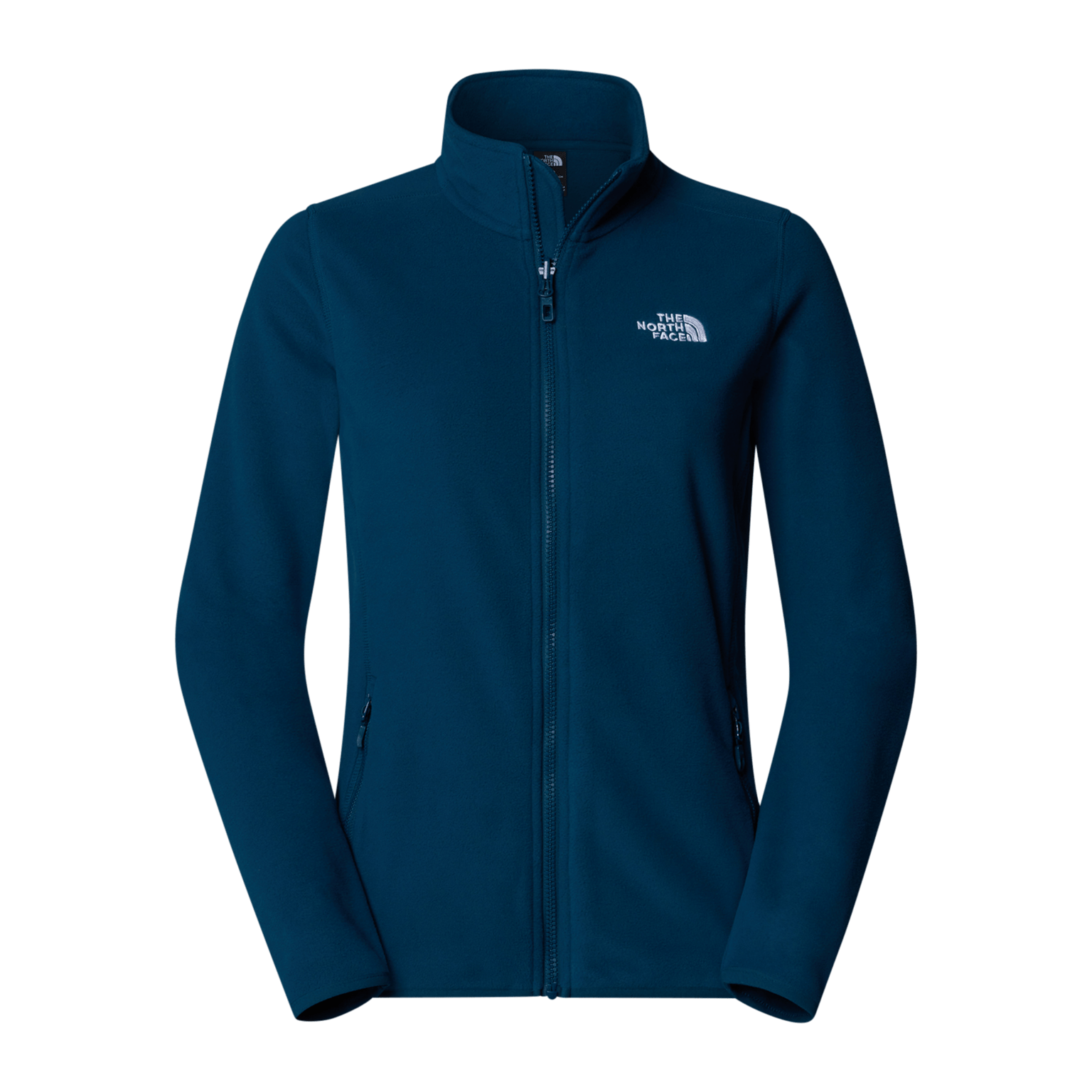 Ледник North Face 100 Fz