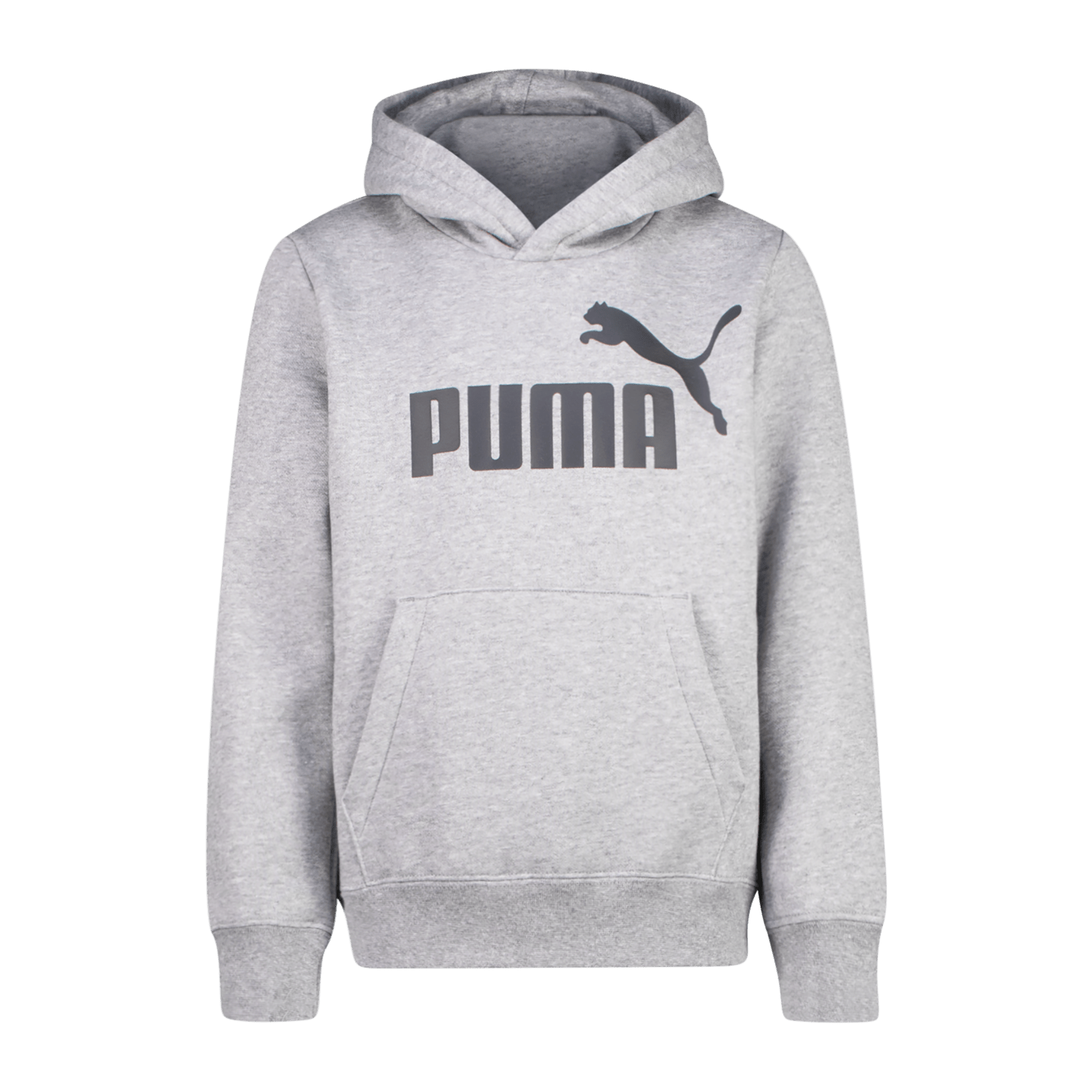 Puma ESS Big Logo, подростковая толстовка с капюшоном, серая