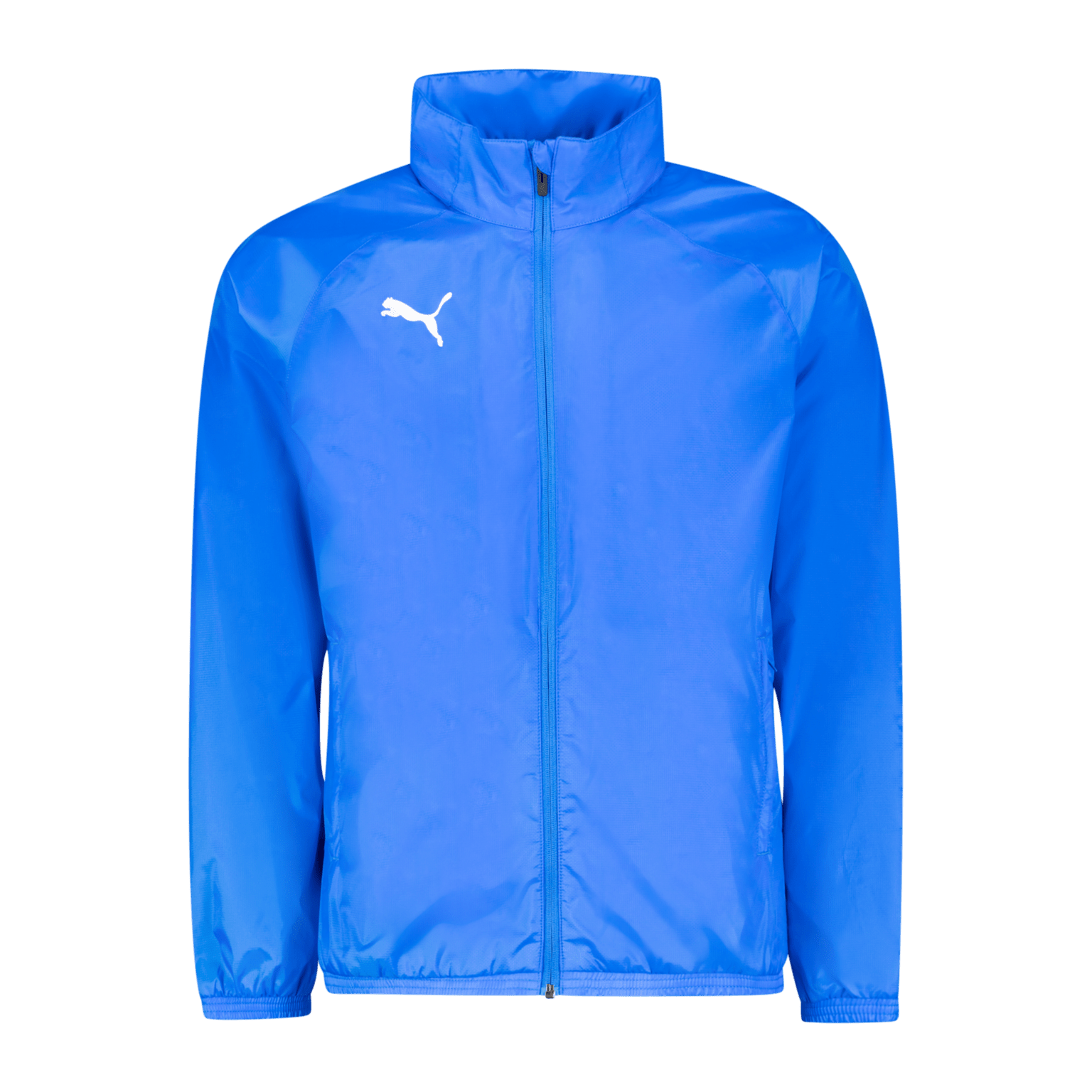 Puma teamGOAL All Weather Jacket, мужская куртка