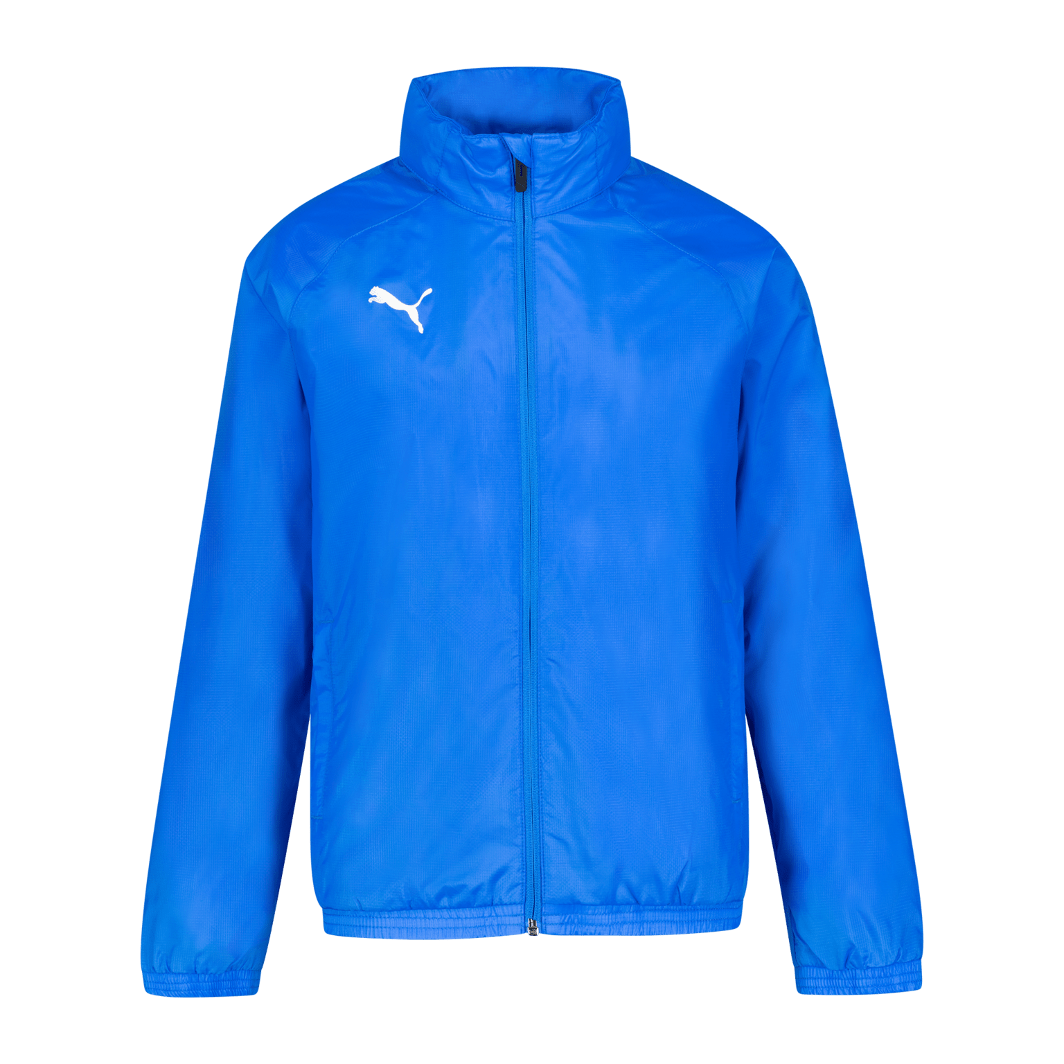 Puma teamGOAL All Weather Jacket, молодежная куртка
