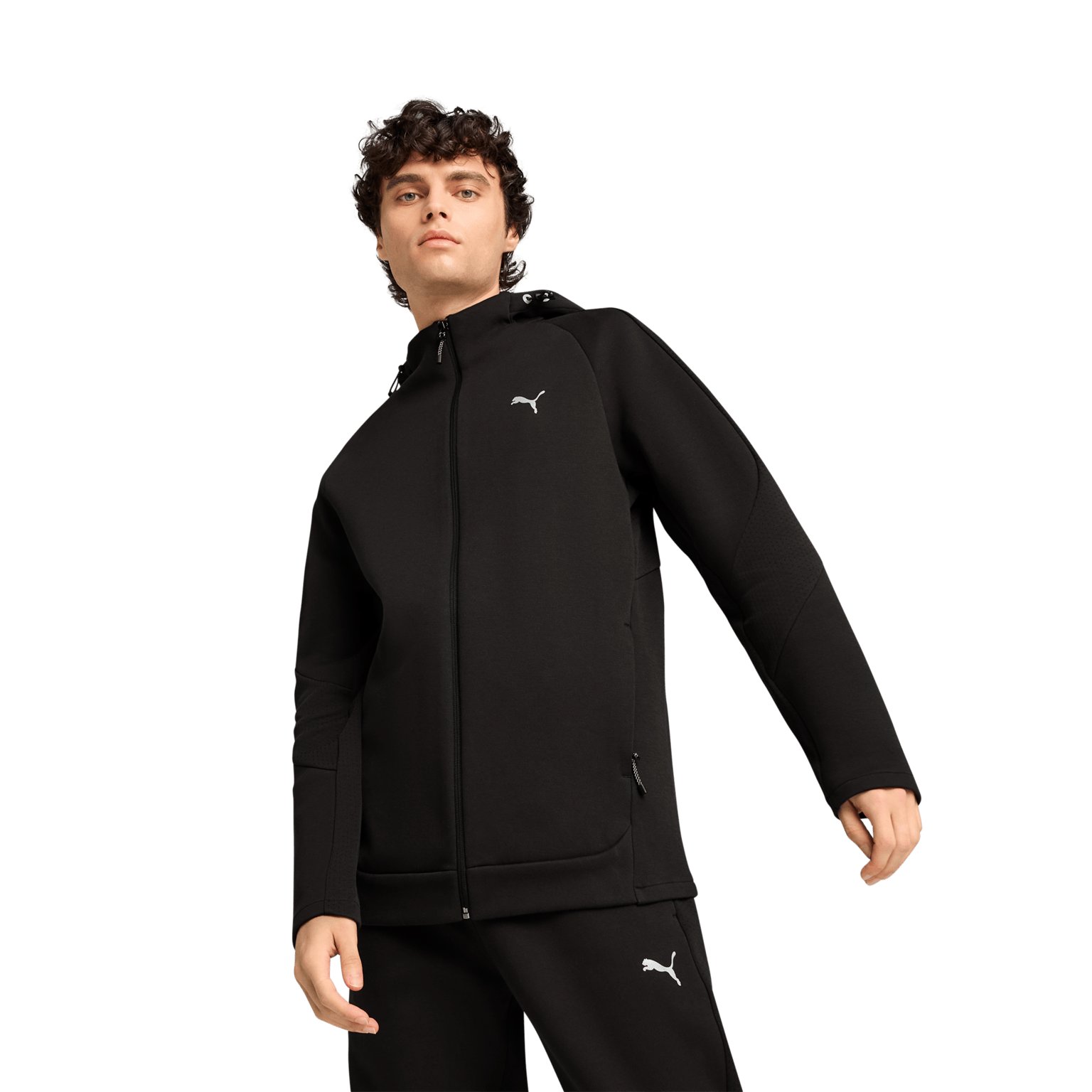 Puma Evostripe Full-Zip Hoodie DK, мужская толстовка