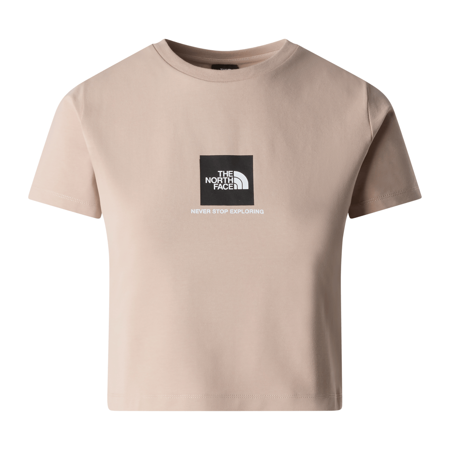Женская футболка The North Face Small Box Slim из нержавеющей стали, женская футболка