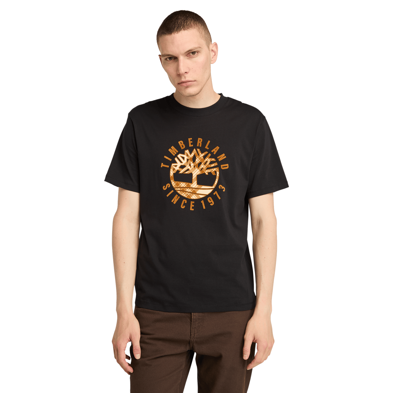 Мужская футболка Timberland Holiday Front с рисунком S