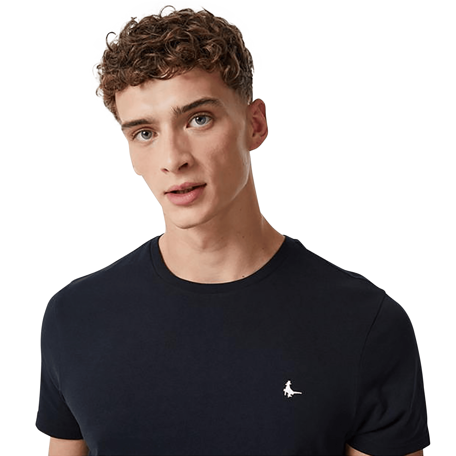 Мужская футболка Jack Wills Sandleford Tee