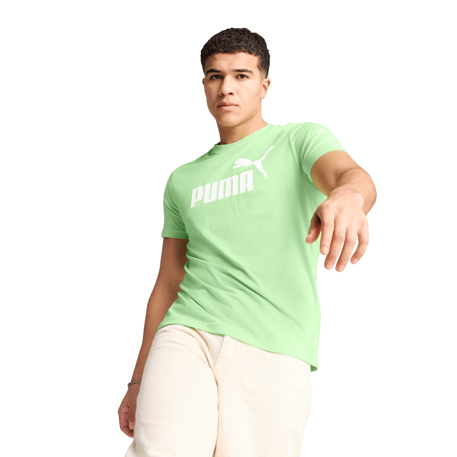 Футболка Puma ESS No. 1 Logo Tee(s), мужская футболка