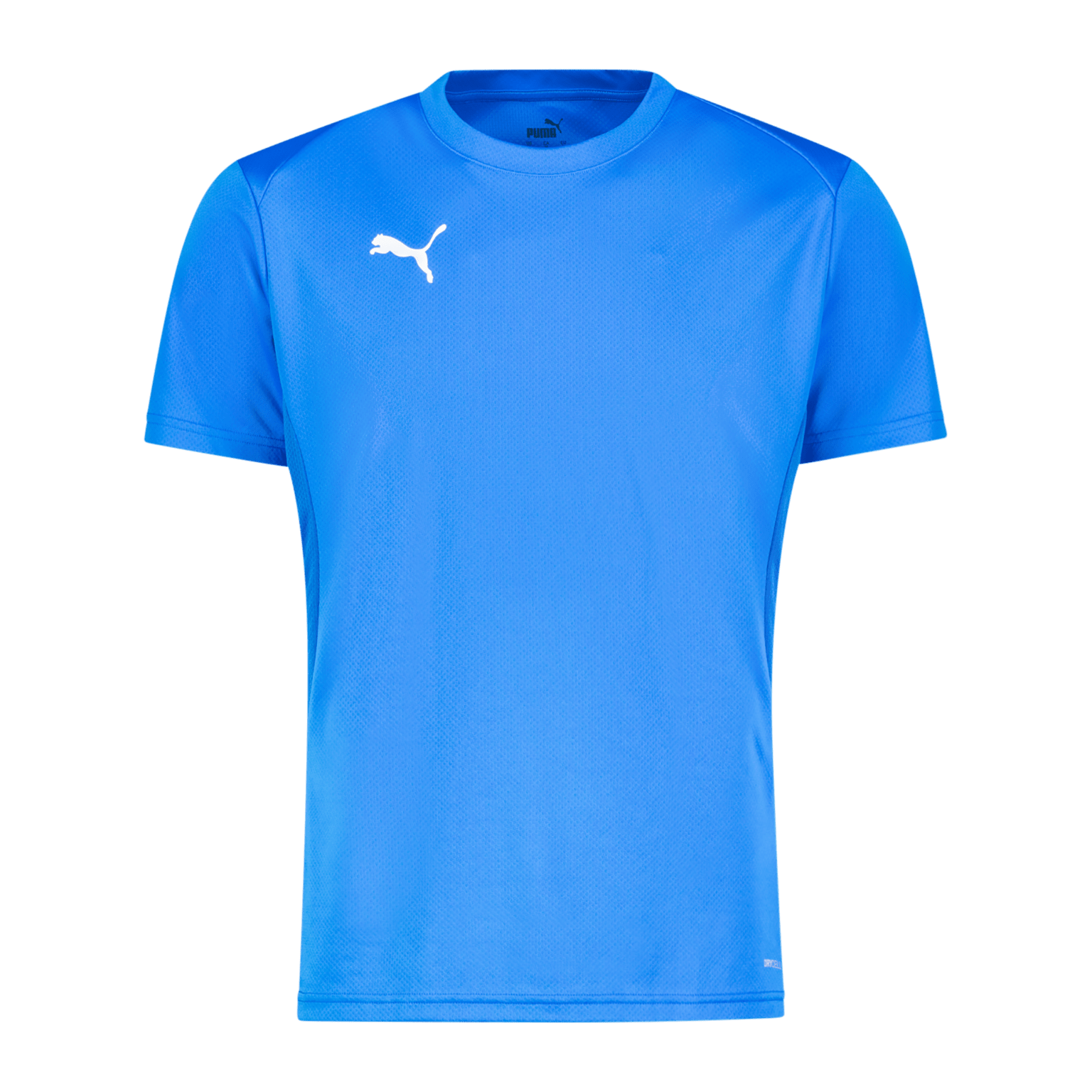 Puma teamGOAL Jersey, мужская тренировочная футболка