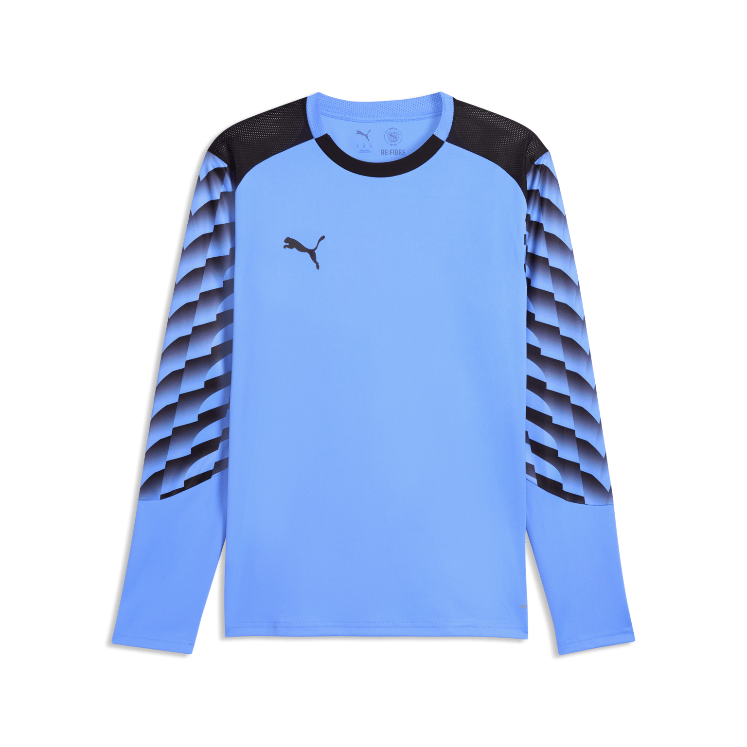 Puma teamLIGA26 GK Jersey LS, футболка вратаря, унисекс