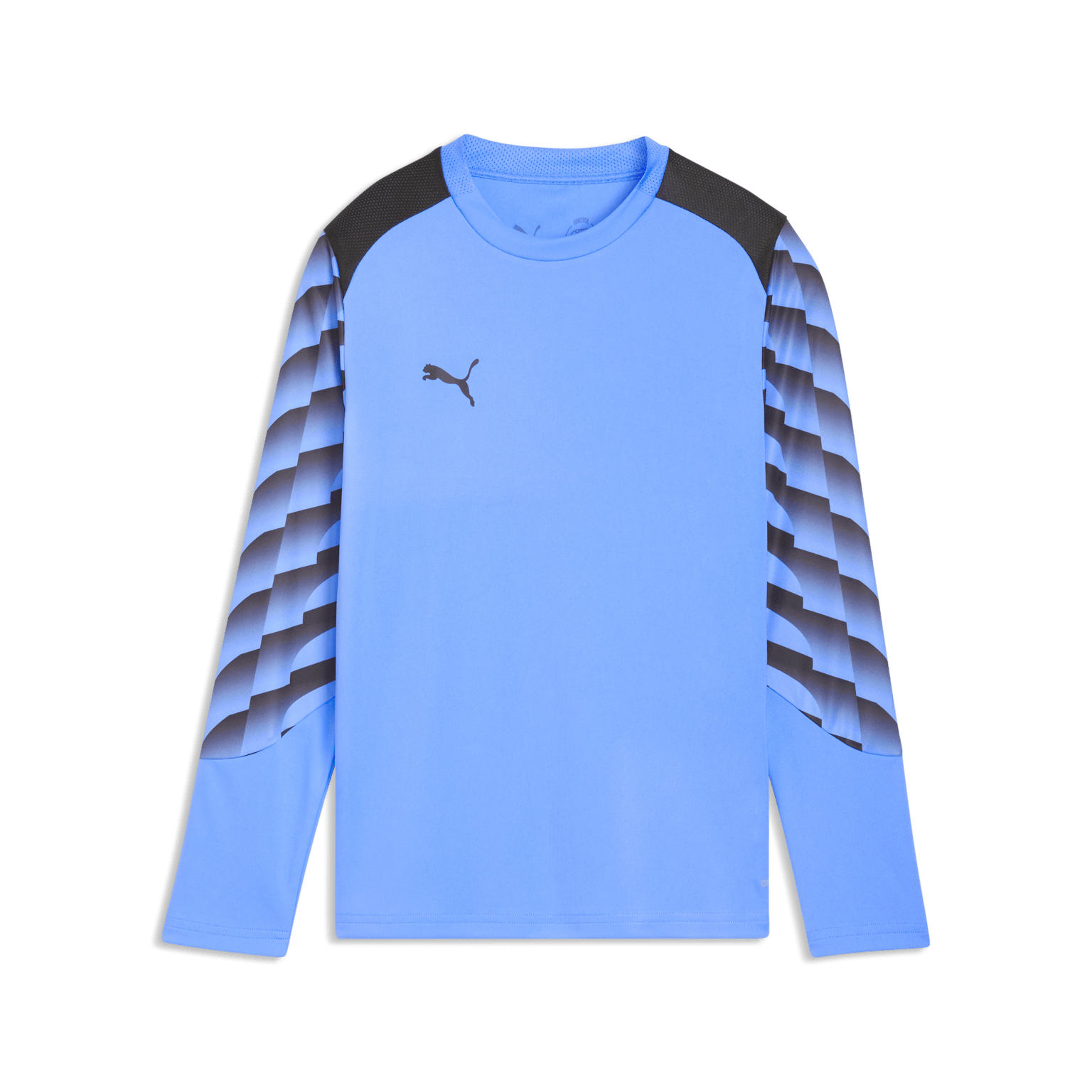 Puma teamLIGA26 GK Jersey LS, молодежная вратарская футболка