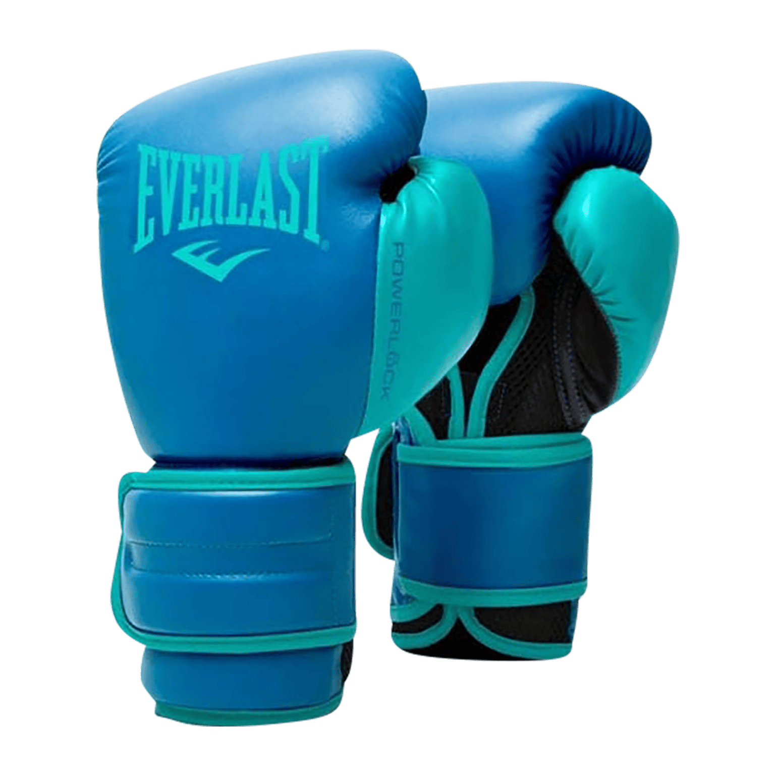 Everlast Power Lk2 Training, боксерские перчатки