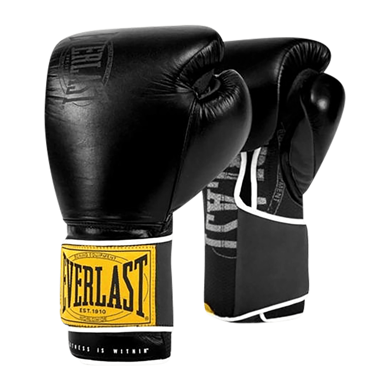 Everlast 1910 Class, боксерские перчатки для взрослых.