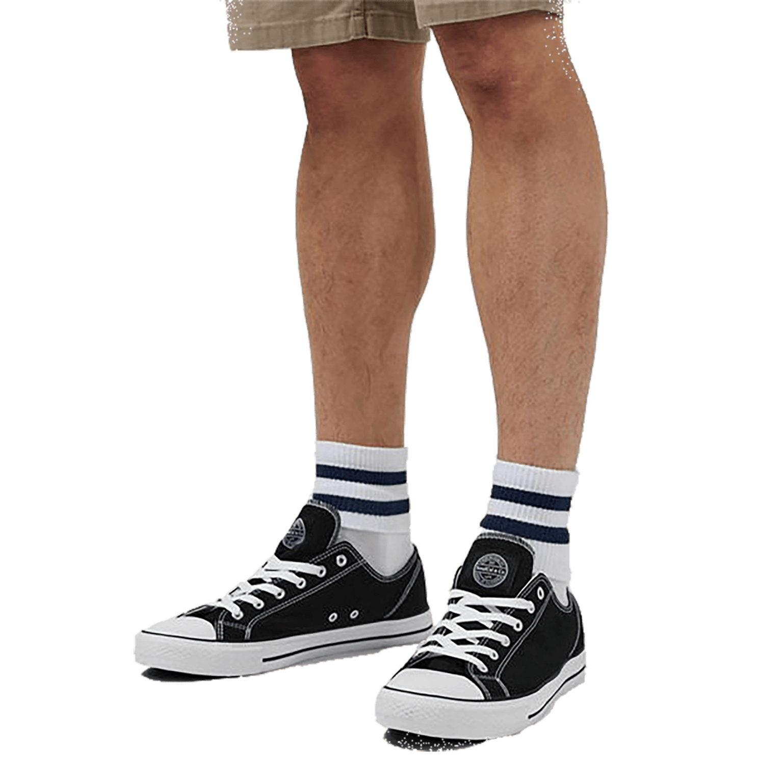 Кроссовки SoulCal Canvas Low, мужские кроссовки